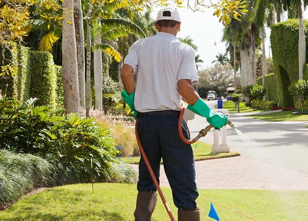 About Augusta ME Pest Control Pros